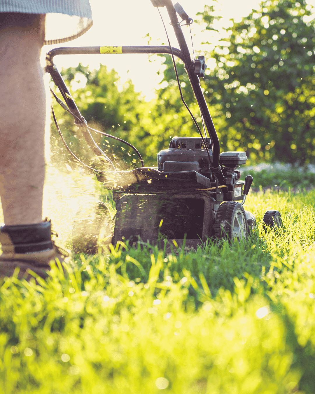 Student mowing a lawn